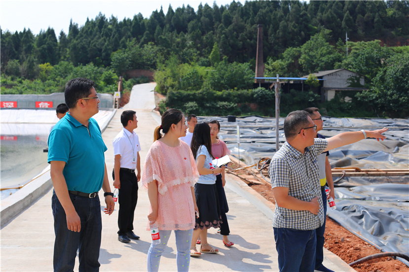 集團第一檢查組檢查杰陽排水公司、固廢處置公司安全防汛和環(huán)保達標各項工作3_副本